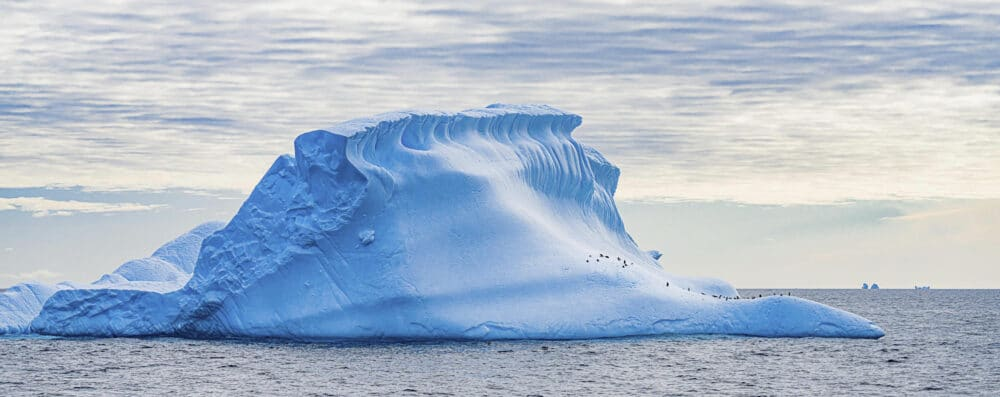 Marko Dimitrijevic WildLife Photography - Iceberg