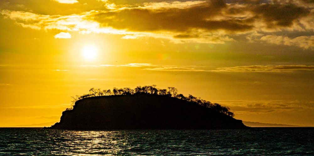 Marko Dimitrijevic WildLife Photography - Sunset